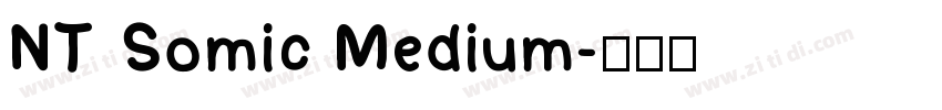 NT Somic Medium字体转换